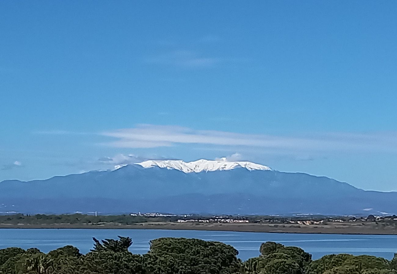 Ferienwohnung in Canet-en-Roussillon - Appartement 4 pesonnes vue mer avec parking 